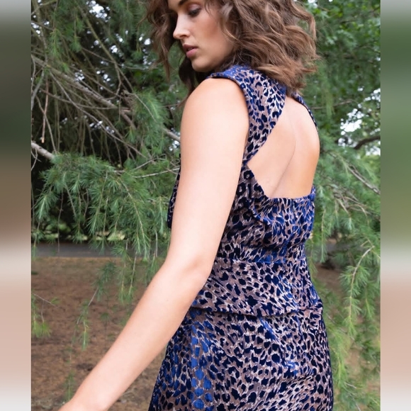 Phase Eight Dresses & Skirts - NWT PHASE EIGHT | $340 Catalina Velvet Cocktail Dress